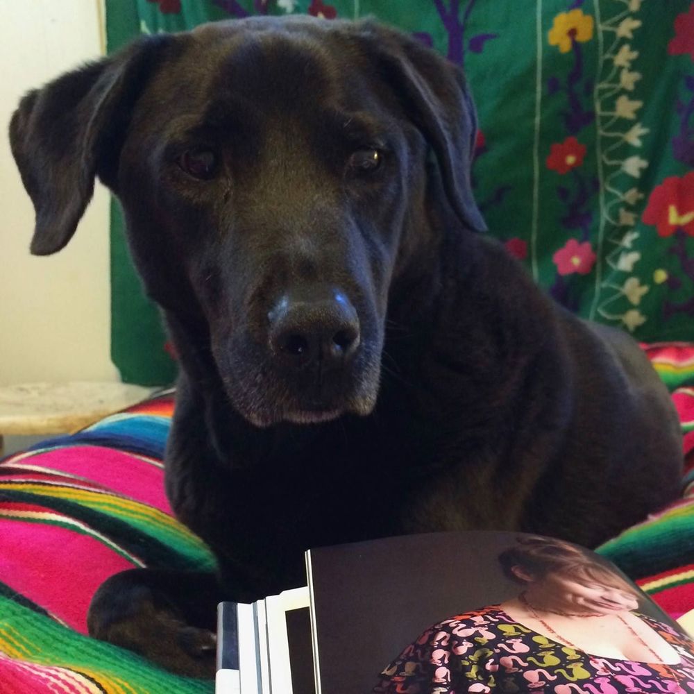 Meet your Posher, Candy